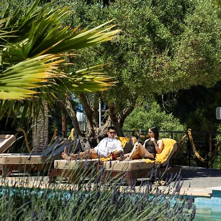 Ohana كريوبيجي